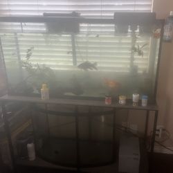 Fish tank With Stand 