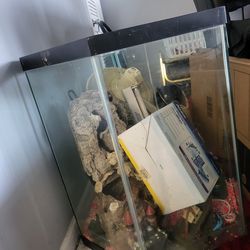 40 Gallon Fish  Tank