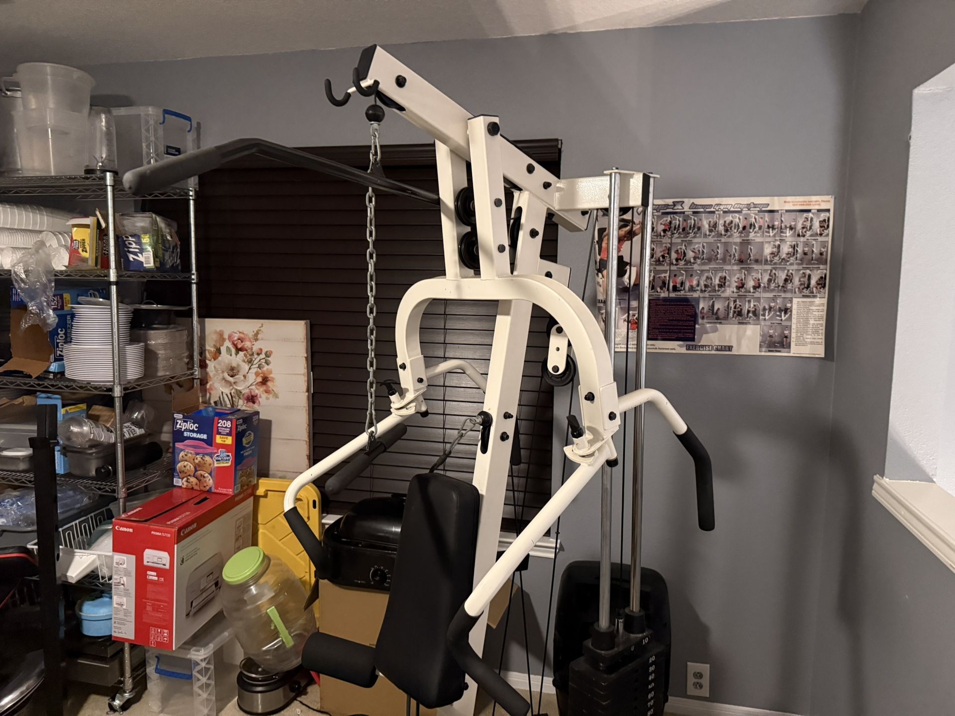 Phys-x Home Gym System