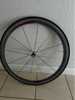 700C Campagnolo Shamal 12-HPW Titanium Front Wheel,