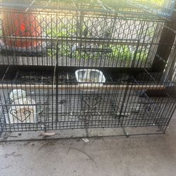 Large Bird Cages 