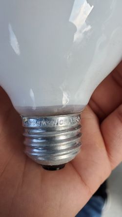 12 light bulbs Philips 40w 120v