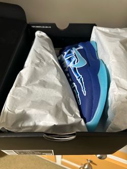Nike Kobe 5 Protro Size 6
