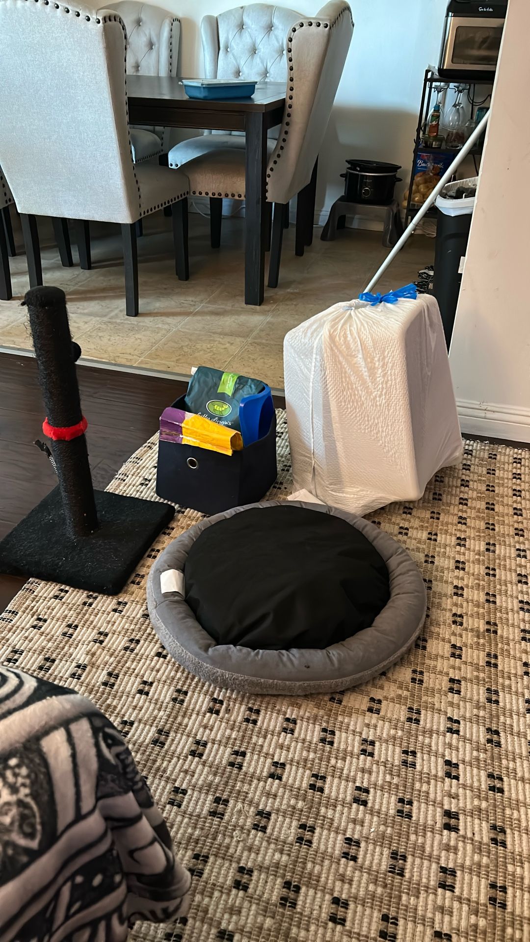 Stater Kit For Kitten