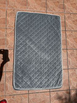 Gray Big dog mattress