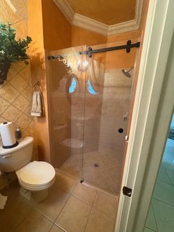 Shower door and mirrors