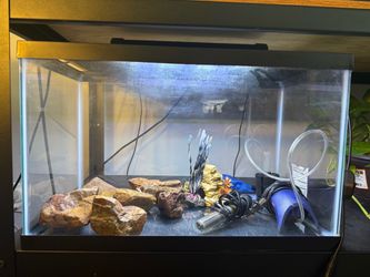 Aquarium Starter Kit