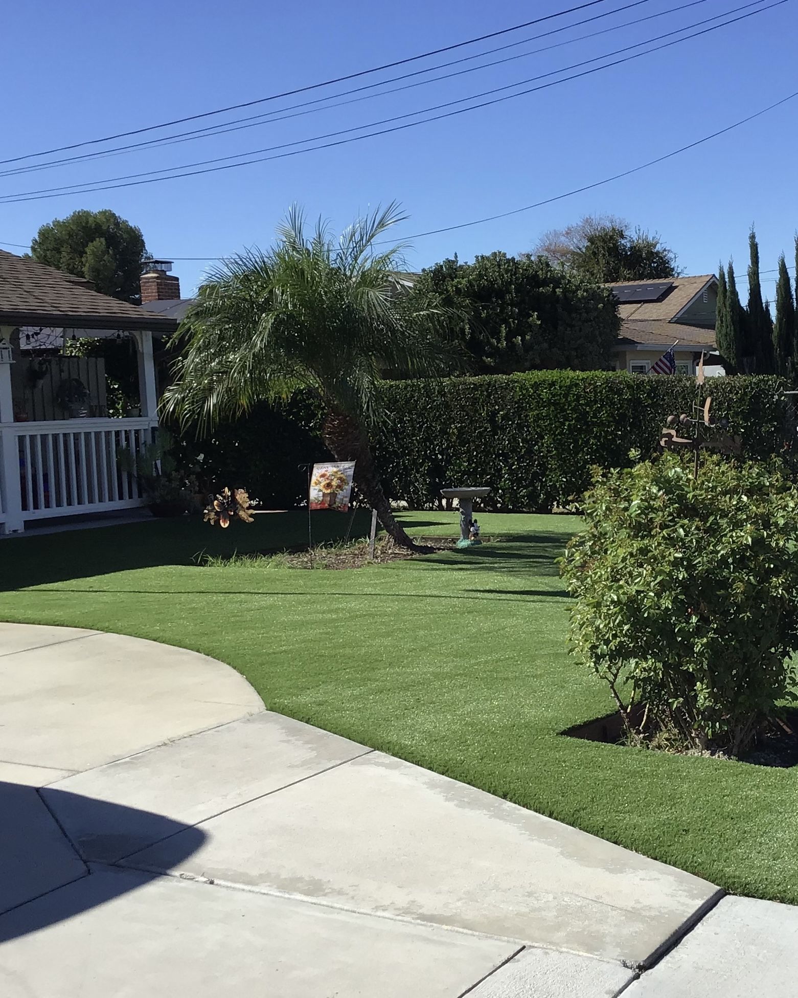 Artificial Turf