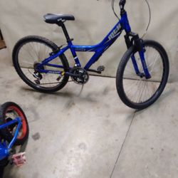 GIANT. 225. MTX. MOUNTAIN BIKE. LITTLE SCTATCHES. BUT HEY IT WORKS GREAT