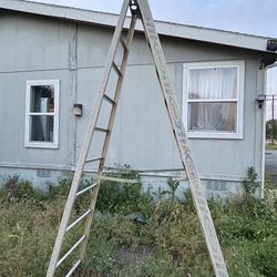 Tall Ladder 