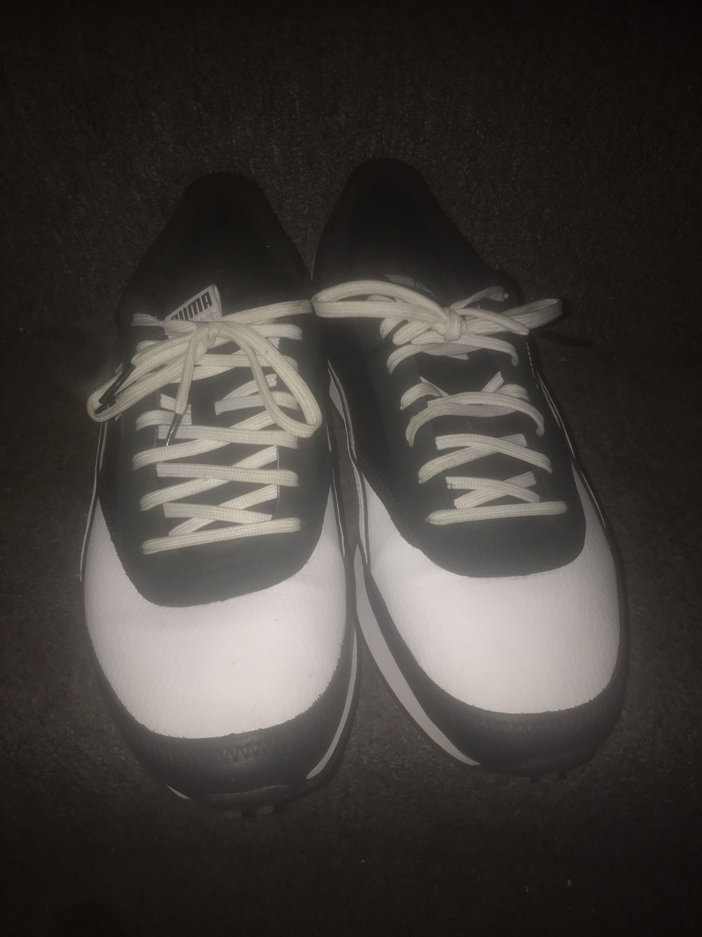 Puma