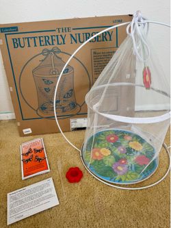 Caterpillar / Butterfly Release Kit (voucher included!)