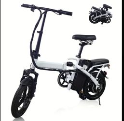 Electric Bike