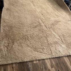 Carpet 8fx10f Almost Now Very Clean Condition Good 