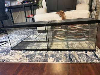 Elite 10 Gallon Terrarium With Sliding Lid