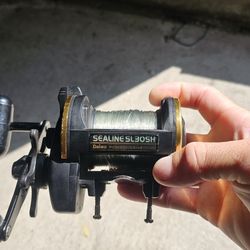 Daiwa Sealine SL30SH 