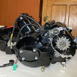 125cc Motorbike Engine LIFAN Dirt Bike Engine 1p54fmi (NEW) UNUSED 