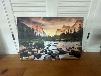 Nature Wall art