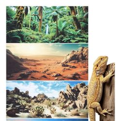 107th Ave And Thomas Rd