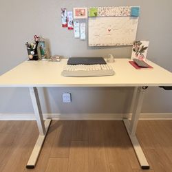 Electric Standing Desk 