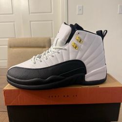 Jordan 12 taxi