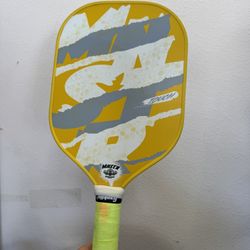 Babolat MNSTR Touch Pickleball Paddle – USAPA Approved