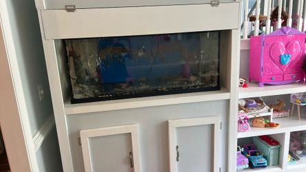 Reef aquarium
