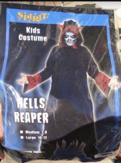 Hells Reaper Costume 