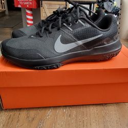 Nike Varsity Compete TR3 