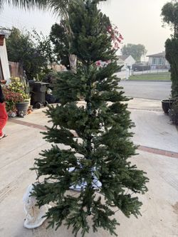 Charisma Tree
