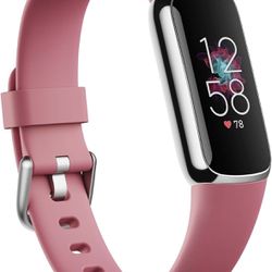 Fitbit Orchid/Platinum Stainless Steel