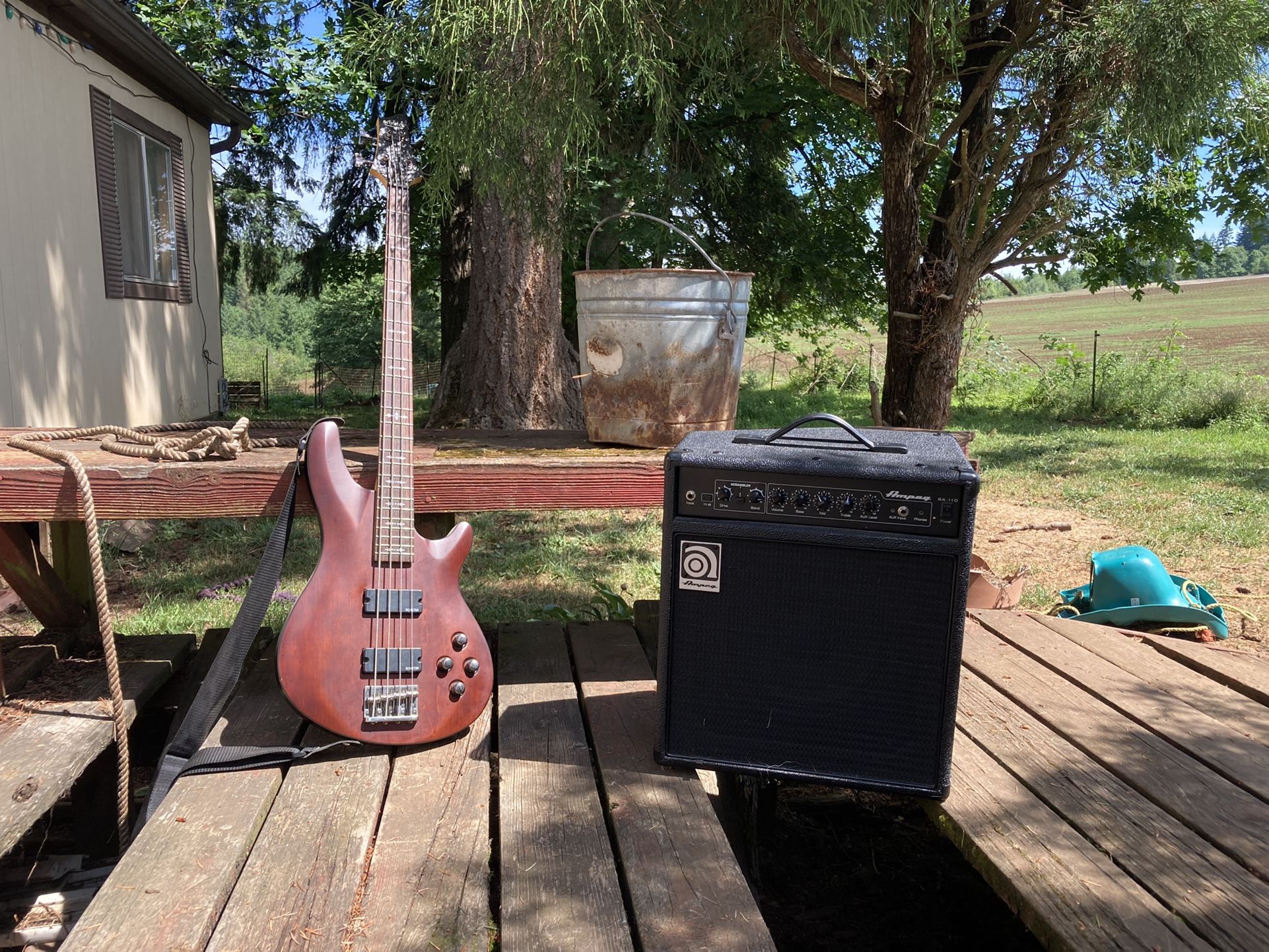 Schecter Guitar