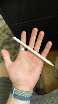 Apple pencil/iPad pencil