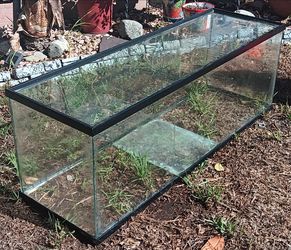 60 Gallon  GLASS Aquarium/ Reptile / Fish Tank