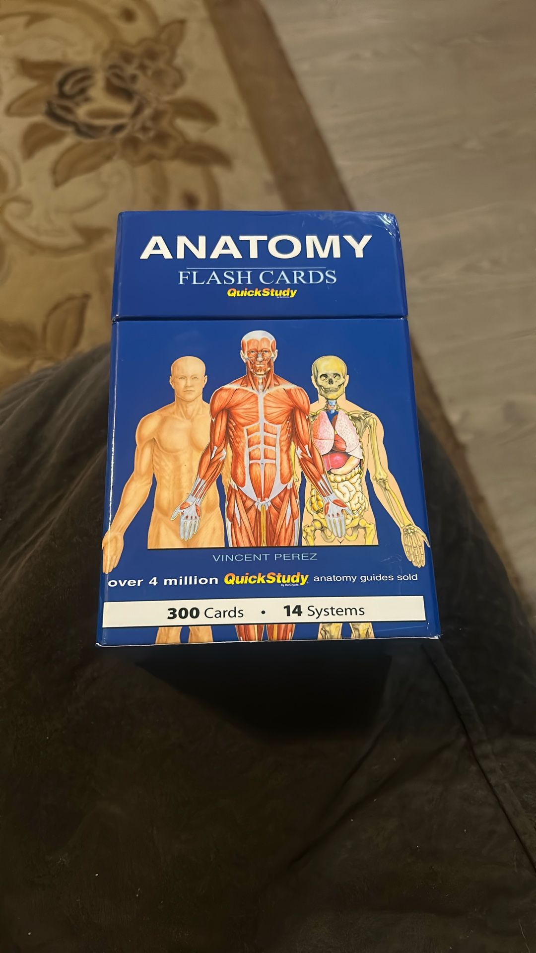 Anatomy Flash cards 300 Cards