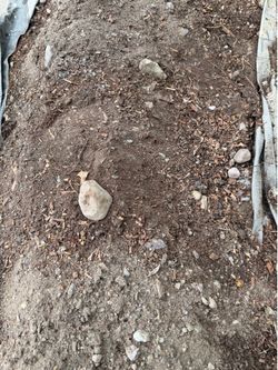 FREE Soil, Filler mixed in with Rocks/Gravel