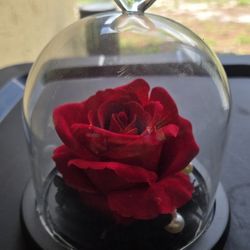 Light Up Rose 