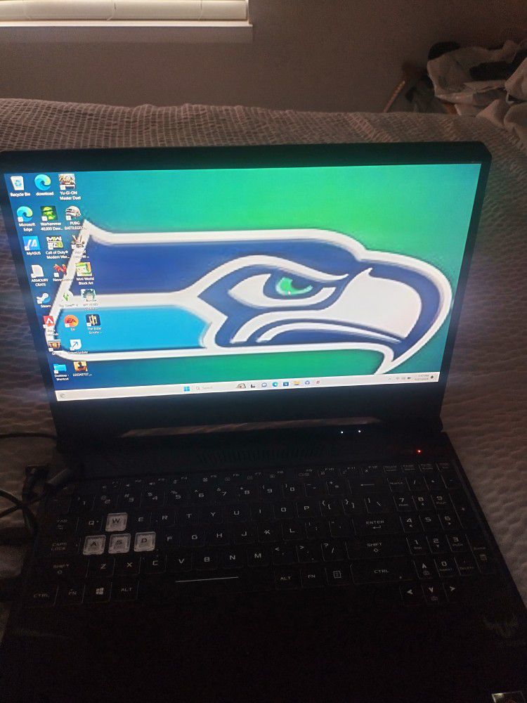 Beautiful Asus Gaming Laptop 