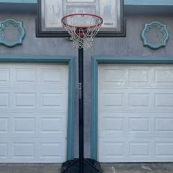 Basketball Court,Lifetime Shatterproof 