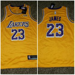 Nike Los Angeles Lakers Lebron James Jersey