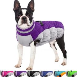 Winter coat Dog
