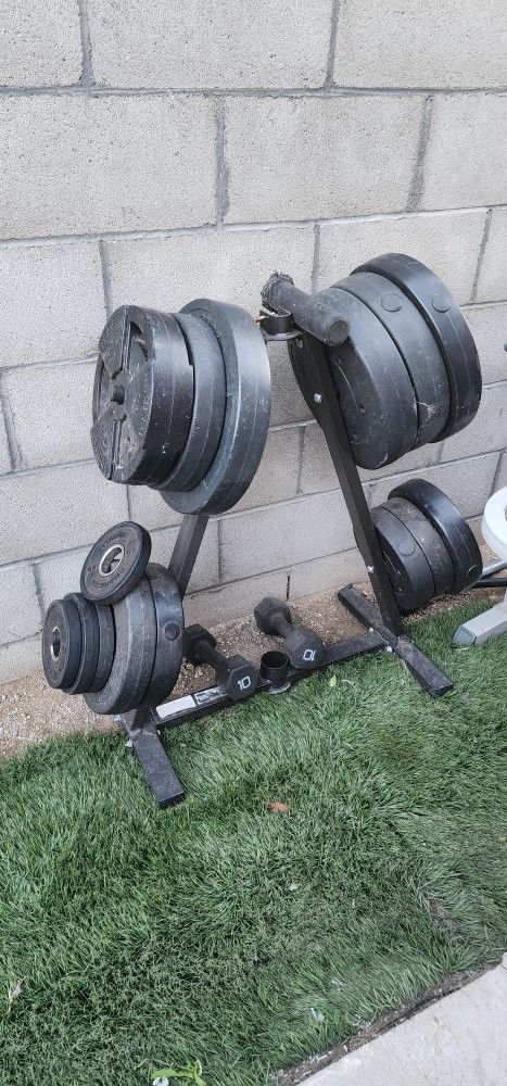 weights and bench