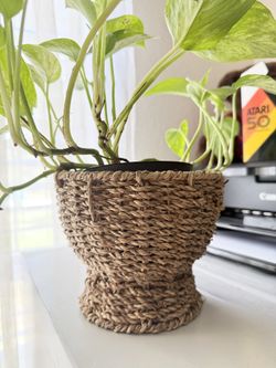 Plant Stand