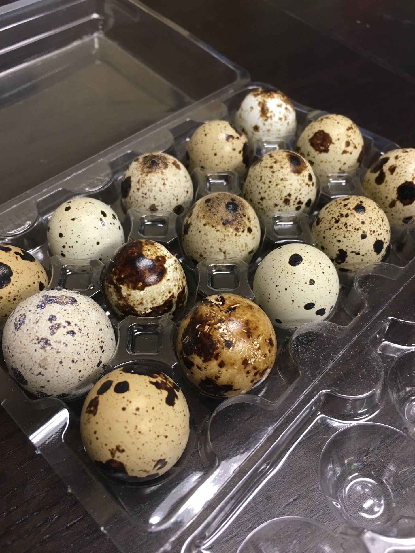 Fresh Quail Eggs Laid DAILY