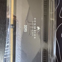 DOMINATOR Platinum RGB