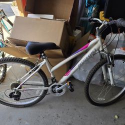 Nishiki Mountain Bike