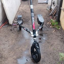 Trikke 12