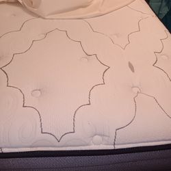 Bookshelf  Twin Bed With Mattress And Box Spring 