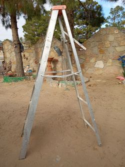Ladder ( 6 feet tall)
