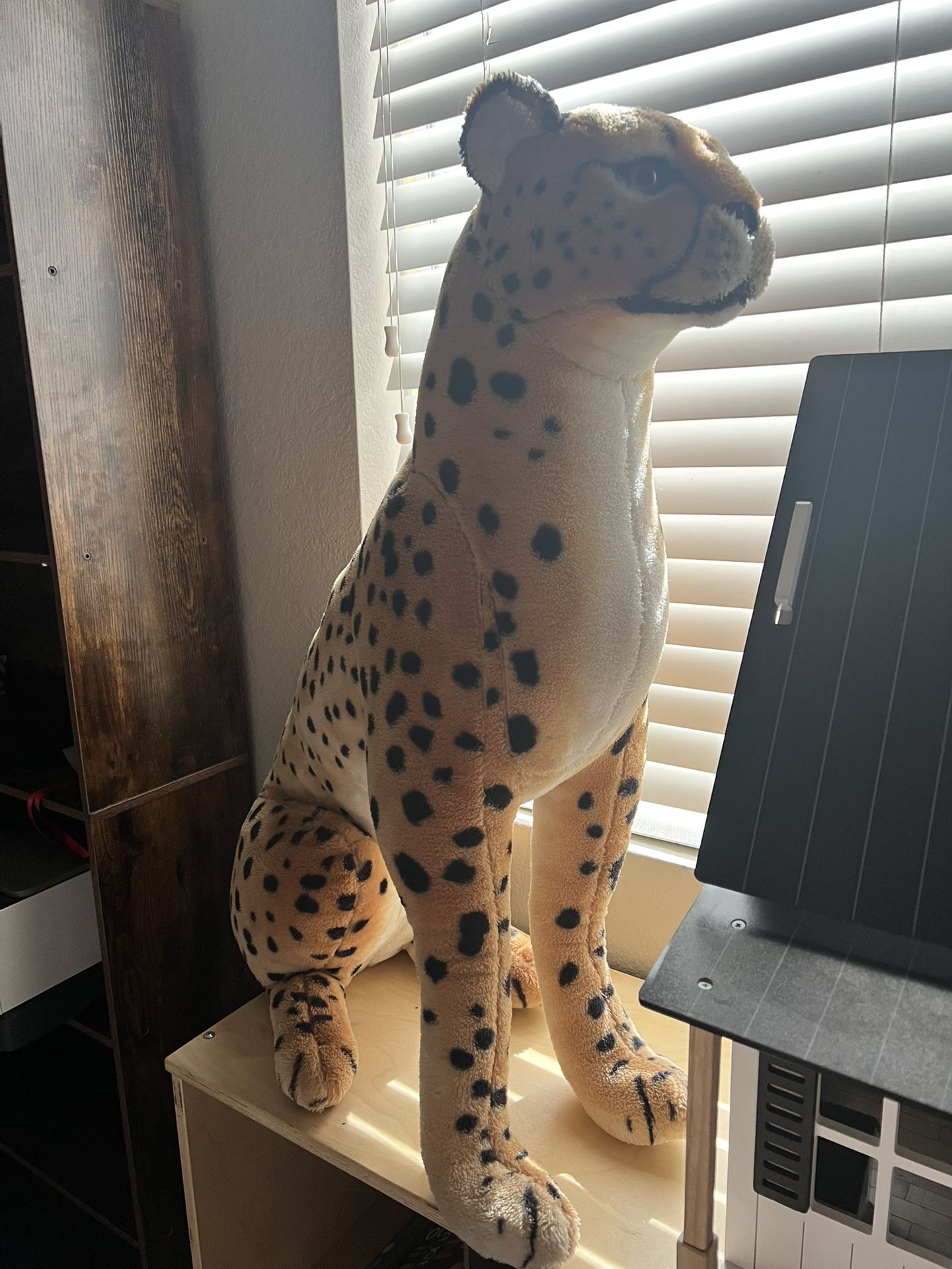 Giant Cheetah